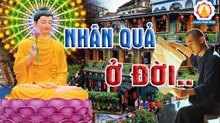 Lời Phật Dạy Luật Nhân Quả Báo Ứng Không Nên Xem Nhẹ Luôn Hiện Hữu Chỉ Là Đến Sớm Hay Muộn Mà Thôi.