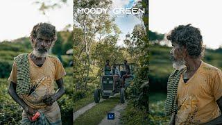 MOODY GREEN Presets - Lightroom Mobile Preset Free DNG  Moody Green Portrait Presets