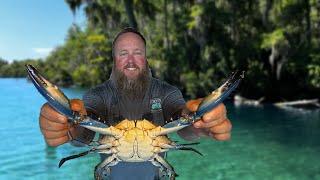 Blue Crabbing in Forgotten Florida  Silver Glen Springs {Catch Clean Cook}