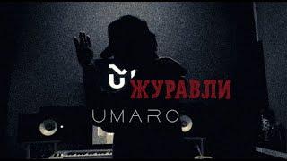 Umaro -  Далеко - далеко журавли улетели             Mood video  2022