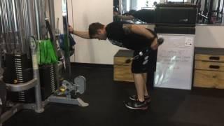 Cable Tricep Kickback