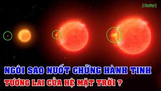 Phát hiện Ngôi sao nuốt chửng Hành tinh - tương lai của Hệ Mặt trời Replay  Top thú vị 