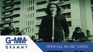 เพลงนี้เกี่ยวกับความรัก - SILLY FOOLS 【OFFICIAL MV】