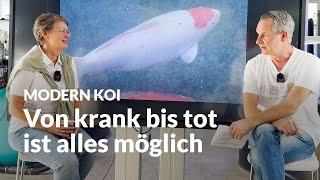 Was kann verschimmeltes Futter in Automaten verursachen  Modern Koi Blog #6928