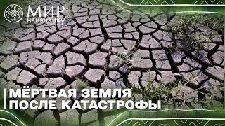 КАТАСТРОФА Земля превратилась в пустыню на Херсонщине