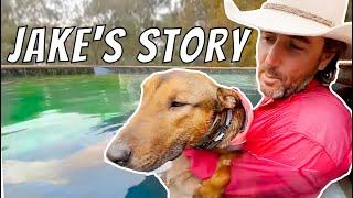 Dog Been in Shelter Long Time Finally Gets Adopted  Jakes Story