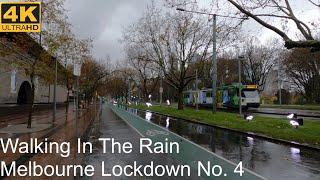 Walking In The Rain During Lockdown No. 4  Melbourne Australia