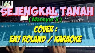 SEJENGKAL TANAH  MANSYUR S  KARAOKE