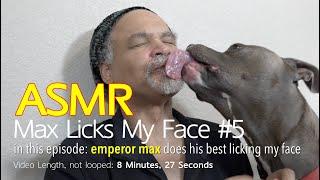 Max Licks  Face Licking #5  ASMR DOG LICKING