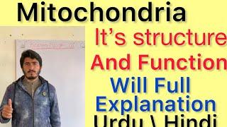 Mitochondria it’s Structure and Function in class 11