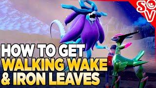 How to Get Walking Wake & Iron Leaves April 25 - May 5th 2024 in Pokemon Scarlet and Violet