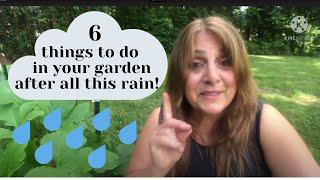 6 Things You Should Do in Your Garden After Too Much Rain