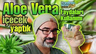 ALOE VERA JELİ İLE İÇECEK YAPTIK - Aloe Vera nasıl kullanılır cinselliğe faydaları neler?