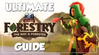 Woodcutting Changed FOREVER In OSRS - Ultimate Forestry Guide New Update