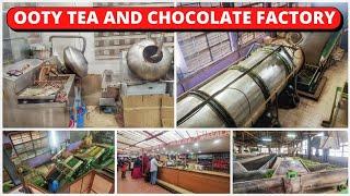 Ooty Tea and Chocolate Factory Tour  Best Tourist Places to Visit in Ooty  Episode - 4