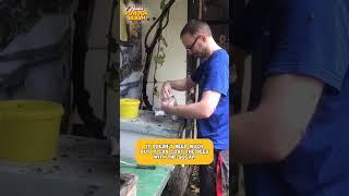 Percobaan Untuk Mendapatkan Varroa dengan Lebih Mudah dan Cepat #madupondoklebah #pondoklebah #bee