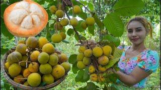 Fresh Santol fruit in my countryside and cook food recipe - Polin lifestyle