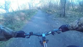 tehidy Woods by bicycle