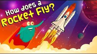 How Does A ROCKET FLY  How Do Rockets Work  ROCKET LAUNCH  The Dr Binocs Show  Peekaboo Kidz