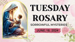 ROSARY TUESDAY SORROWFUL MYSTERIES  JUNE 18 2024THE LOVE AND MERCY OF GOD