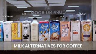 Milk Alternatives for Coffee Tested & Compared