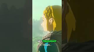 Unbelievable Encounter Zelda discovers a parallel universe like never before