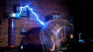 Tesla Coil Faraday Cage