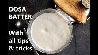 DOSA BATTER RECIPE   HOW TO MAKE DOSA BATTER @ HOME with tips and tricks