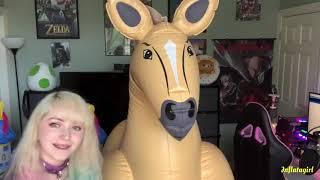 Unboxing The Inflatable Palomino Horse