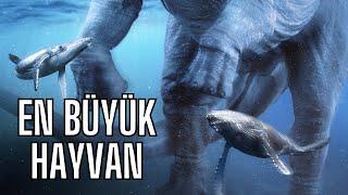 Gelmiş Geçmiş EN BÜYÜK Hayvan