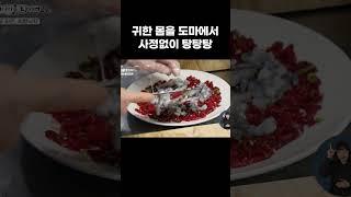 몸보신만 생각해서 무지막지하게 준비해 버린 보양식 끝판왕 #shorts