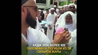 Хадж 2024 более 920 паломников погибли из-за сильной жары  #рек  #хадж  #паломники