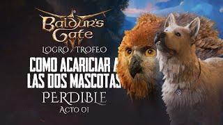  PERDIBLE  Baldurs Gate 3  ACTO 1  Trofeo Usa las manos para algo útil  Acariciar mascota