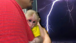 Dad knows what to do to protect BiBi when its thunder