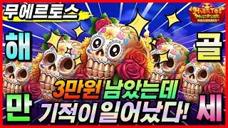 슬롯 실시간무에르토스  Muertos 오뎅직전 2만바리가 잡혀버렸다? 프라그마틱온라인슬롯강원랜드슬롯머신슬롯실시간슬롯잭팟순남슬롯