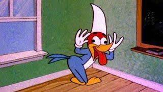 Woody Is The Class Clown  2.5 Hours of Classic Episodes of Woody Woodpecker