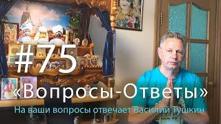 Вопросы-Ответы Выпуск #75 - Василий Тушкин отвечает на ваши вопросы