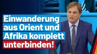 Migrantengewalt erfordert Konsequenzen Bernd Baumann - AfD-Fraktion im Bundestag