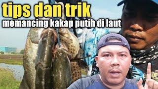 cara memancing kakap putih di laut