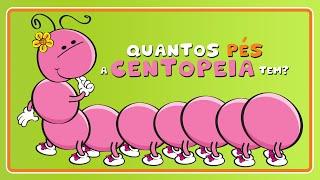  QUANTOS PÉS A CENTOPEIA TEM? - Pepeia e Teco Música Infantil