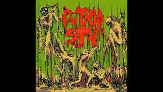 Putrid Stu Ft. Disfiguring The Goddess - Transfigere Full EP