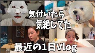 【Vlog】気付いたら気絶してた最近の1日