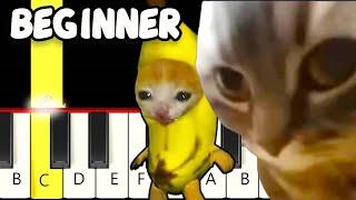 Chipi Chipi Chapa Chapa & Banana Cat Remix - Fast and Slow Easy Piano Tutorial - Beginner