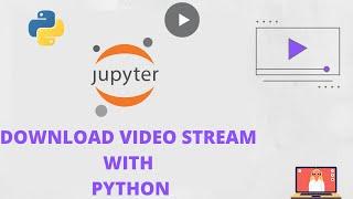 Download  Any Video  From Any Website  For Free  With Python