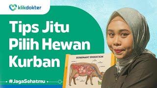 Tonton Video ini Sebelum Beli Hewan Kurban Wajib