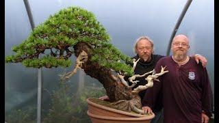 Graham Potter & Kevin Willsons First Bonsai Creation Collaboration