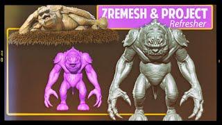 ZRemesh and Project History Refresher - in conjunction with OR alternative to ProxyPose