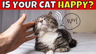 10 Subtle Signs Your Cat Is VERY Happy 