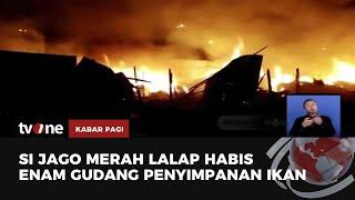 6 Gudang Penyimpanan Ikan Terbakar di Medan Belawan  Kabar Pagi tvOne