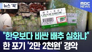 뉴스 꾹 한우보다 비싼 배추 실화냐..한 포기 2만 2천원 경악 2024.09.23MBC뉴스